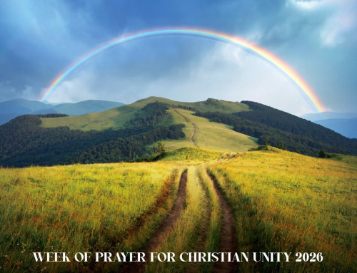 November 2025 Update