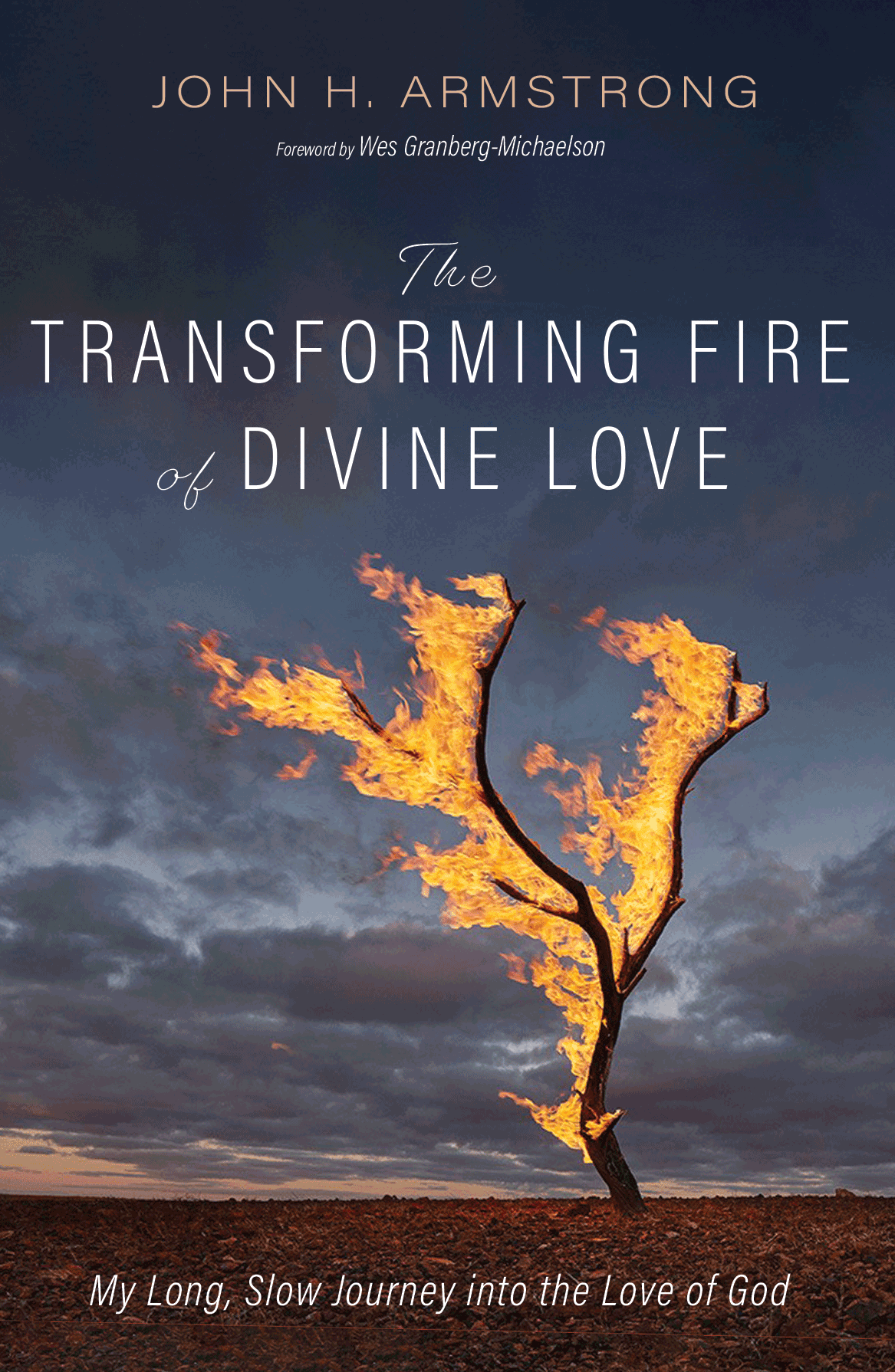 Transforming Fire of Divine Love